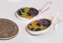 Load image into Gallery viewer, Butterfly wing jewelry, real butterfly, butterfly wing pendant, butterfly wing earrings real butterfly gifts, jewelry with butterfly wings