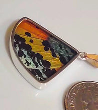 Load image into Gallery viewer, Butterfly wing jewelry, real butterfly, butterfly wing pendant, butterfly wing earrings real butterfly gifts, jewelry with butterfly wings