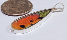 Load image into Gallery viewer, Butterfly wing jewelry, real butterfly, butterfly wing pendant, butterfly wing earrings real butterfly gifts, jewelry with butterfly wings