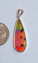 Load image into Gallery viewer, Butterfly wing jewelry, real butterfly, butterfly wing pendant, butterfly wing earrings real butterfly gifts, jewelry with butterfly wings