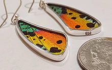 Load image into Gallery viewer, Butterfly wing jewelry, real butterfly, butterfly wing pendant, butterfly wing earrings real butterfly gifts, jewelry with butterfly wings