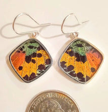 Load image into Gallery viewer, Butterfly wing jewelry, real butterfly, butterfly wing pendant, butterfly wing earrings real butterfly gifts, jewelry with butterfly wings