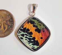 Load image into Gallery viewer, Butterfly wing jewelry, real butterfly, butterfly wing pendant, butterfly wing earrings real butterfly gifts, jewelry with butterfly wings