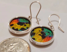 Load image into Gallery viewer, Butterfly wing jewelry, real butterfly, butterfly wing pendant, butterfly wing earrings real butterfly gifts, jewelry with butterfly wings