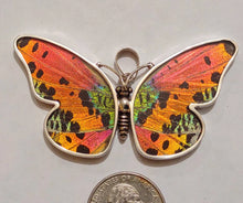 Load image into Gallery viewer, Butterfly wing jewelry, real butterfly, butterfly wing pendant, butterfly wing earrings real butterfly gifts, jewelry with butterfly wings