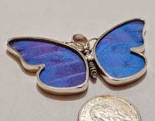 Load image into Gallery viewer, Butterfly wing jewelry, real butterfly, butterfly wing pendant, butterfly wing earrings real butterfly gifts, jewelry with butterfly wings