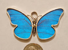 Load image into Gallery viewer, Butterfly wing jewelry, real butterfly, butterfly wing pendant, butterfly wing earrings real butterfly gifts, jewelry with butterfly wings