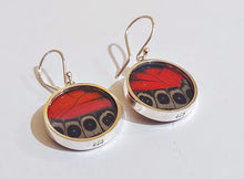 Load image into Gallery viewer, Butterfly earrings, real butterfly wing jewelry, real butterflies in jewelry, butterfly wings in jewelry, butterfly wing jewelry