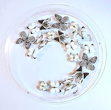 Load image into Gallery viewer, Framed Butterflies-Mounted Butterflies-Preserved Butterflies