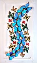 Load image into Gallery viewer, NEW MIX! Framed Butterflies-Mounted Butterflies-Preserved Butterflies butterfly, butterfly art