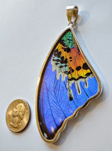 Load image into Gallery viewer, Butterfly wing jewelry, real butterfly, butterfly wing pendant, butterfly wing earrings real butterfly gifts, jewelry with butterfly wings (Copy)
