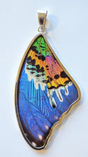 Load image into Gallery viewer, Butterfly wing jewelry, real butterfly, butterfly wing pendant, butterfly wing earrings real butterfly gifts, jewelry with butterfly wings (Copy)