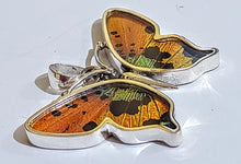 Load image into Gallery viewer, Butterfly wing jewelry, real butterfly, butterfly wing pendant, butterfly wing earrings real butterfly gifts, jewelry with butterfly wings