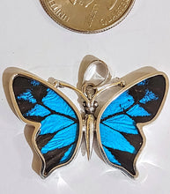 Load image into Gallery viewer, Butterfly wing jewelry, real butterfly, butterfly wing pendant, butterfly wing earrings real butterfly gifts, jewelry with butterfly wings