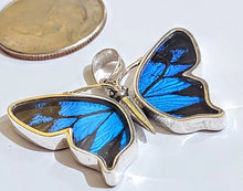 Load image into Gallery viewer, Butterfly wing jewelry, real butterfly, butterfly wing pendant, butterfly wing earrings real butterfly gifts, jewelry with butterfly wings