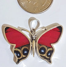 Load image into Gallery viewer, Butterfly wing jewelry, real butterfly, butterfly wing pendant, butterfly wing earrings real butterfly gifts, jewelry with butterfly wings