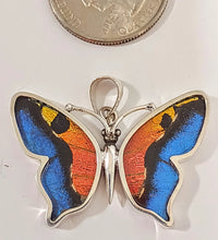 Load image into Gallery viewer, Butterfly wing jewelry, real butterfly, butterfly wing pendant, butterfly wing earrings real butterfly gifts, jewelry with butterfly wings