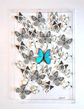 Load image into Gallery viewer, Framed Butterflies-Mounted Butterflies-Preserved Butterflies