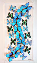 Load image into Gallery viewer, real framed butterflies