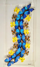 Load image into Gallery viewer, 16"x34" Framed Butterflies-Mounted Butterflies-Preserved Butterflies