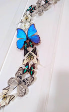 Load image into Gallery viewer, Framed Butterflies-Mounted Butterflies-Preserved Butterflies