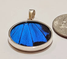 Load image into Gallery viewer, Butterfly wing jewelry, real butterfly, butterfly wing pendant, butterfly wing earrings real butterfly gifts, jewelry with butterfly wings
