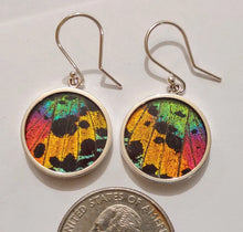 Load image into Gallery viewer, Butterfly wing jewelry, real butterfly, butterfly wing pendant, butterfly wing earrings real butterfly gifts, jewelry with butterfly wings