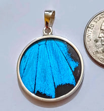 Load image into Gallery viewer, Butterfly wing jewelry, real butterfly, butterfly wing pendant, butterfly wing earrings real butterfly gifts, jewelry with butterfly wings