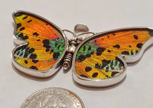 Load image into Gallery viewer, Butterfly wing jewelry, real butterfly, butterfly wing pendant, butterfly wing earrings real butterfly gifts, jewelry with butterfly wings