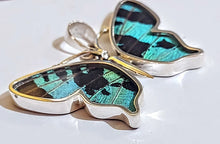 Load image into Gallery viewer, Butterfly wing jewelry, real butterfly, butterfly wing pendant, butterfly wing earrings real butterfly gifts, jewelry with butterfly wings
