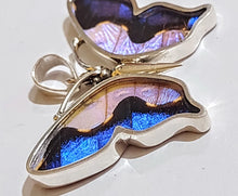 Load image into Gallery viewer, Butterfly wing jewelry, real butterfly, butterfly wing pendant, butterfly wing earrings real butterfly gifts, jewelry with butterfly wings