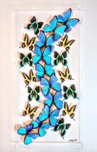 Load image into Gallery viewer, Framed Butterflies-Mounted Butterflies-Preserved Butterfliesmed butterfly, butterfly art