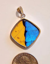 Load image into Gallery viewer, Butterfly wing jewelry, real butterfly, butterfly wing pendant, butterfly wing earrings real butterfly gifts, jewelry with butterfly wings