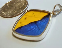 Load image into Gallery viewer, Butterfly wing jewelry, real butterfly, butterfly wing pendant, butterfly wing earrings real butterfly gifts, jewelry with butterfly wings