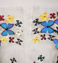 Load image into Gallery viewer, Heart-shaped wave! Framed Butterflies-Mounted Butterflies-Preserved Butterflies