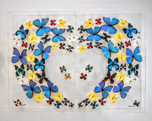 Load image into Gallery viewer, Heart-shaped wave! Framed Butterflies-Mounted Butterflies-Preserved Butterflies