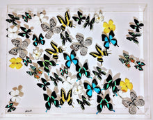 Load image into Gallery viewer, 35"x25" Butterfly Wall Art – Framed Real Butterfly Display – Nature Decorutterflies-Mounted Butterflies-Preserved Butterflies
