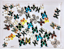 Load image into Gallery viewer, 35"x25" Butterfly Wall Art – Framed Real Butterfly Display – Nature Decorutterflies-Mounted Butterflies-Preserved Butterflies