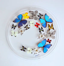 Load image into Gallery viewer, Mounted butterfly art in a 24" circular clear acrylic frame display