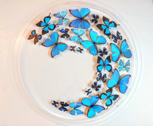 ALL BLUE THEME 30" x 2.5" Circular Butterfly Display