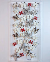 Load image into Gallery viewer, Framed Butterflies-Mounted Butterflies-Preserved Butterfliesmed butterfly, butterfly art