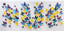 Load image into Gallery viewer, Framed Butterflies-Mounted Butterflies-Preserved Butterflies