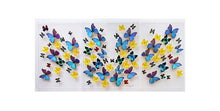 Load image into Gallery viewer, Framed Butterflies-Mounted Butterflies-Preserved Butterflies