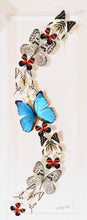 Load image into Gallery viewer, Framed Butterflies-Mounted Butterflies- Preserved Butterflies 10x30