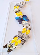 Load image into Gallery viewer, Framed Butterflies-Mounted Butterflies- Preserved Butterflies 10x30