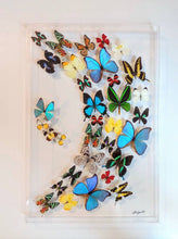 Load image into Gallery viewer, A framed acrylic display case showcasing a collection of mounted butterflies in various colors.