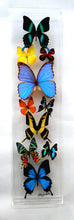 Load image into Gallery viewer, A framed acrylic display featuring a series of mounted butterflies in various colors.