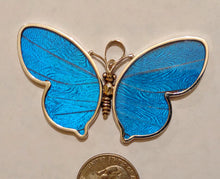 Load image into Gallery viewer, butterfly wing pendant, real butterflies, butterfly pendants, butterfly earrings, real butterfly gifts, jewelry with butterfly wings