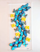 Load image into Gallery viewer, Framed Butterflies-Mounted Butterflies-Preserved Butterflies