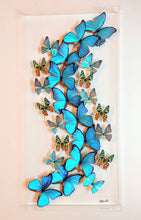 Load image into Gallery viewer, Framed Butterflies-Mounted Butterflies-Preserved Butterflies